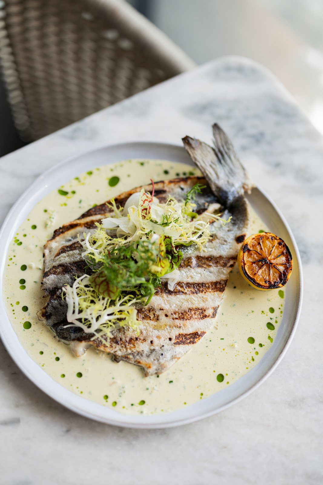 Sear + Sea Woodfire Grille, Orlando, FL