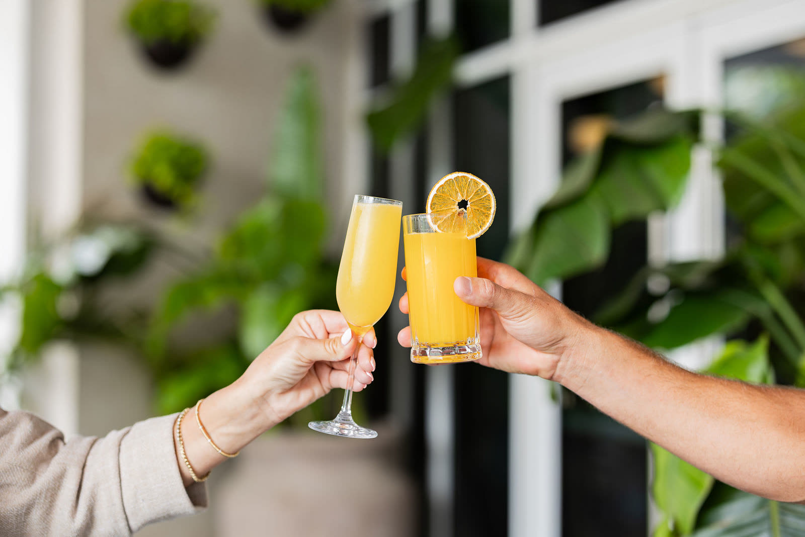 Guests toasting with mimosas
